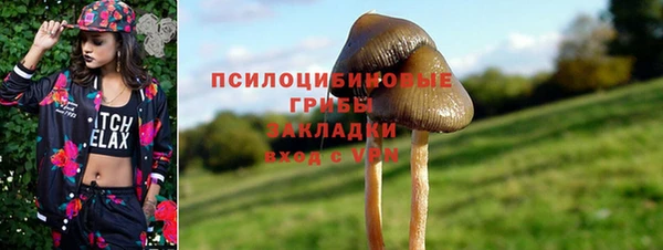 spice Белокуриха